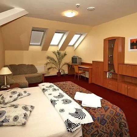 A Plus & Auberge de jeunesse