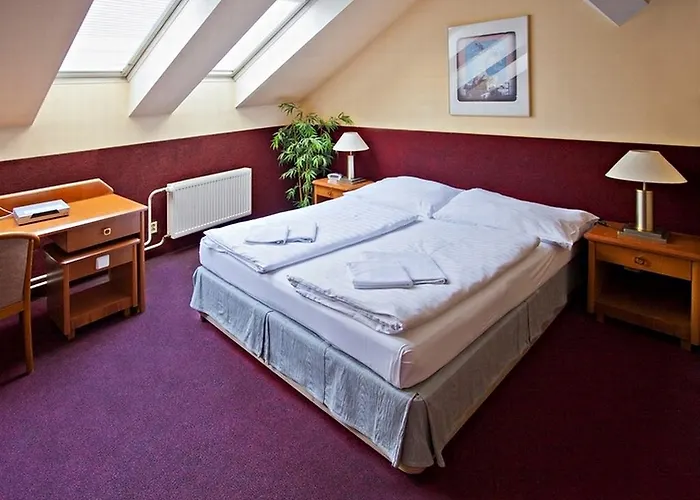 A Plus & Hostel